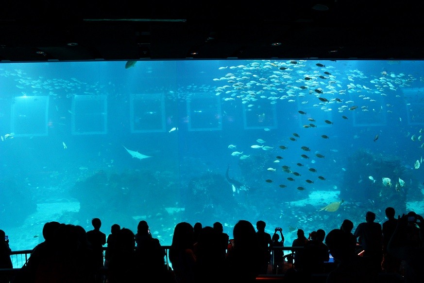 シーアクアリウム