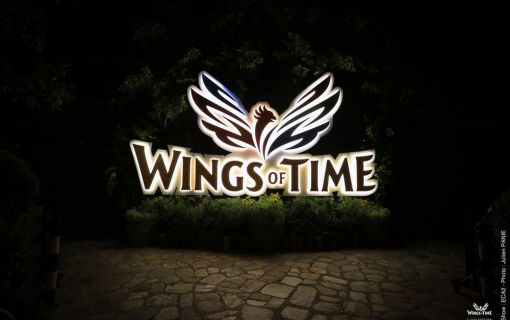 WINGS OF TIME
