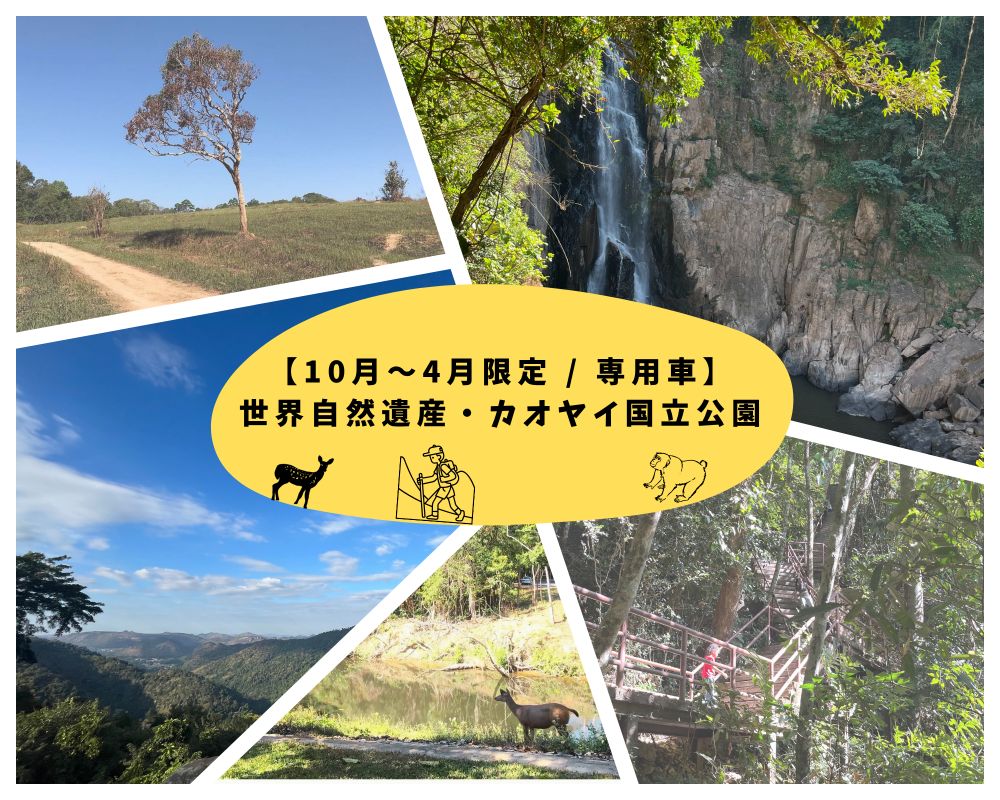 【10月～4月限定 / 専用車】世界自然遺産・カオヤイ国立公園 1