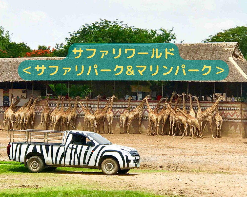 【1日・専用車】サファリワールド<サファリパーク&マリンパーク>(昼食付) 1