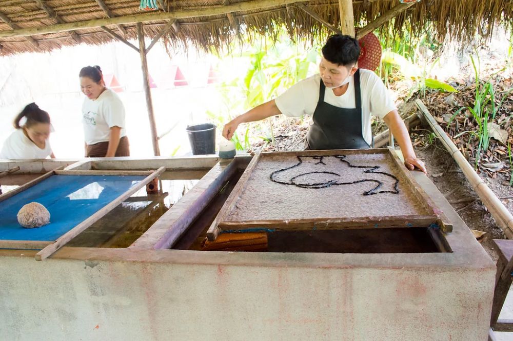 【1日・専用車】首長族の村訪問・象の糞からエコペーパ作り体験・オーキッドファーム 1