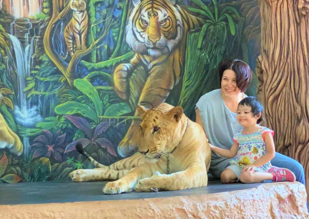 15分無料キャンペーン実施中♪【タイ在住日本人とオンライン de タイトーク♪】 5