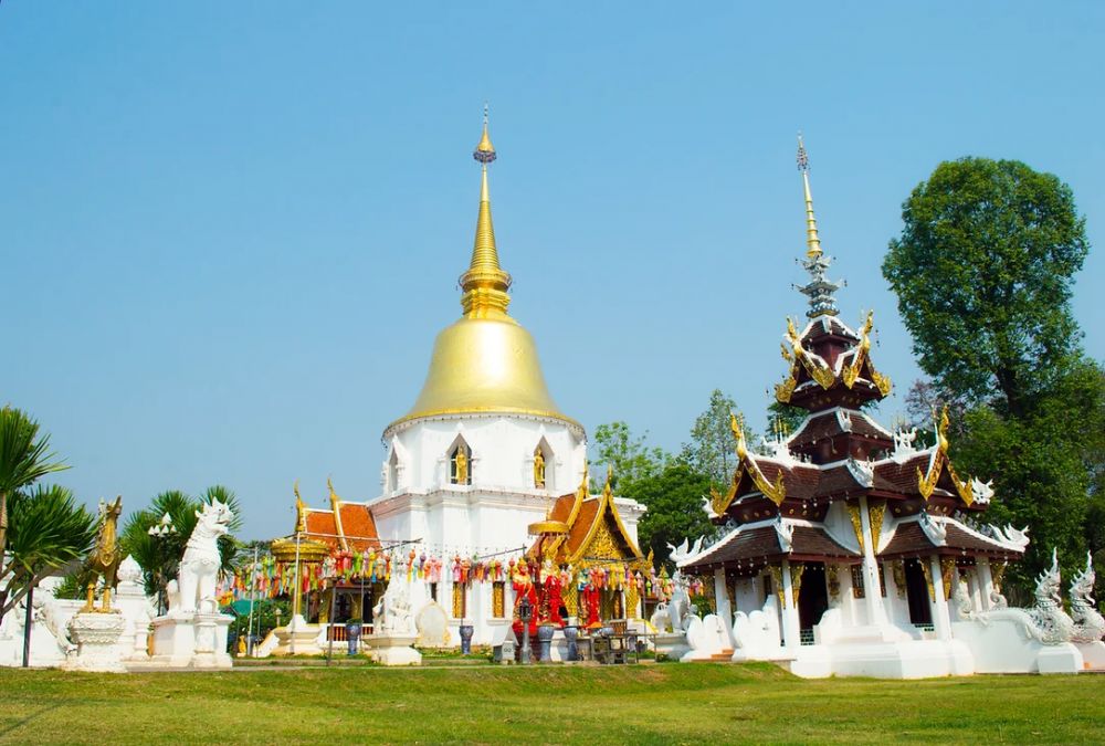 【1日・専用車】首長族の村訪問・象の糞からエコペーパ作り体験・オーキッドファーム 3