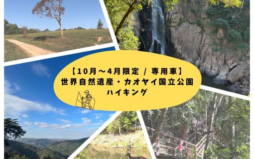 【10月~4月限定 / 専用車】世界自然遺産・カオヤイ国立公園 ハイキング