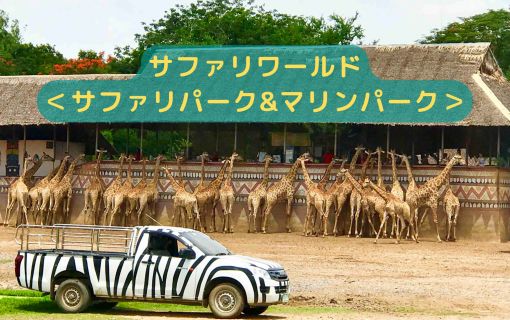 【1日・専用車】サファリワールド<サファリパーク&マリンパーク>(昼食付)