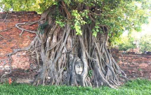 【8月5日～20日限定・混乗プラン】じっくり１日！世界遺産アユタヤツアー 2