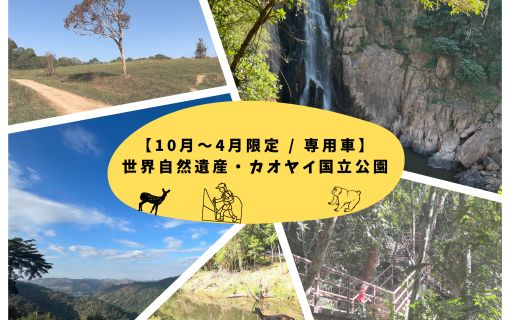 【10月～4月限定 / 専用車】世界自然遺産・カオヤイ国立公園