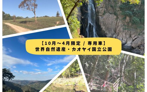 【10月~4月限定 / 専用車】世界自然遺産・カオヤイ国立公園
