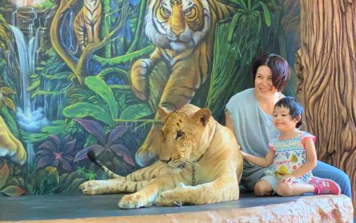 15分無料キャンペーン実施中♪【タイ在住日本人とオンライン de タイトーク♪】 5