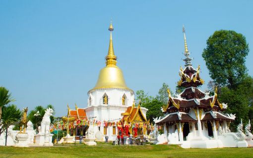 【1日・専用車】首長族の村訪問・象の糞からエコペーパ作り体験・オーキッドファーム 3