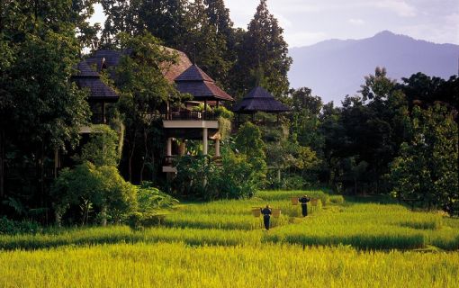 フォーシーズンズ 