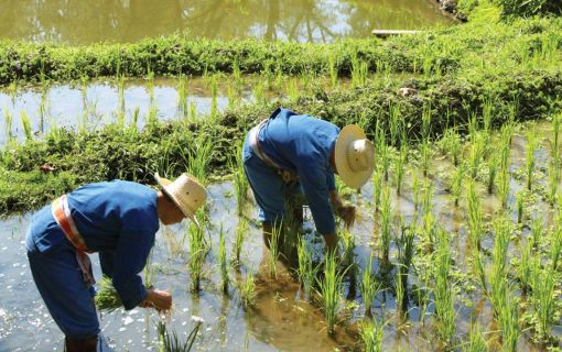 フォーシーズンス