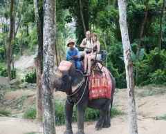 【プーケット発】象乗り 2