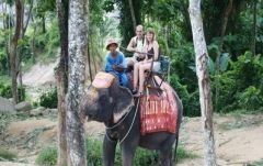 【プーケット発】象乗り 2