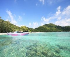 プーケット動物園　（入場チケット） 10