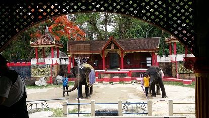 プーケット動物園　（入場チケット） 4