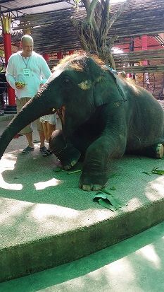 プーケット動物園　（入場チケット） 6