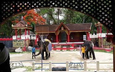 プーケット動物園　（入場チケット） 5