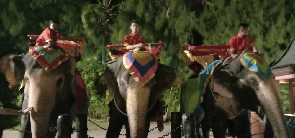 【プーケット発】ファンタシーショー 　夕食付き/日本語ガイド付き 1