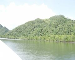 深緑につつまれたランカウイ諸島の無人島巡り＜午前発半日観光＞ 5