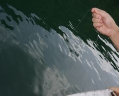 深緑につつまれたランカウイ諸島の無人島巡り＜午前発半日観光＞ 4