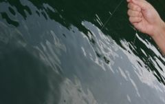 深緑につつまれたランカウイ諸島の無人島巡り＜午前発半日観光＞ 4