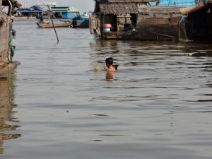 トンレサップ湖クルーズ半日観光(午前・午後発) 10