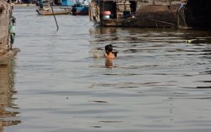 トンレサップ湖クルーズ半日観光(午前・午後発) 10