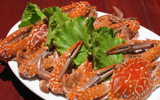 【昼食アップグレードプラン】 ( 世界遺産ハロン湾日帰り観光 往復高速利用!) + 昼食アップグレード(蟹・蝦蛄付き)メニュー!!!