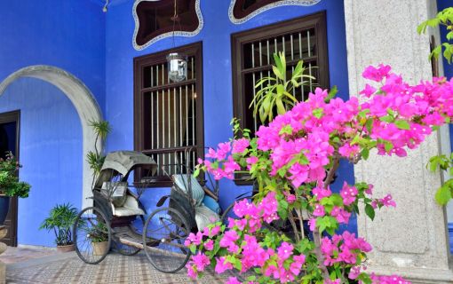 持ち上げることができたら願いが叶う?!　リフティング仏陀と開運ランチ＜午前発半日観光＞ 6