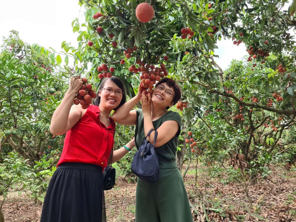 【7月限定!毎週土曜日開催】ハノイ発オンライン体験ツアー 9