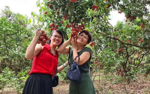 【7月限定!毎週土曜日開催】ハノイ発オンライン体験ツアー 9