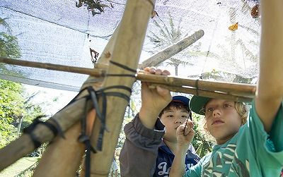 3泊4日プラン(バリ島でサマーキャンプ in グリーンキャンプ)