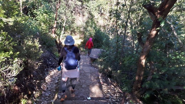 ラメラウ山登山道