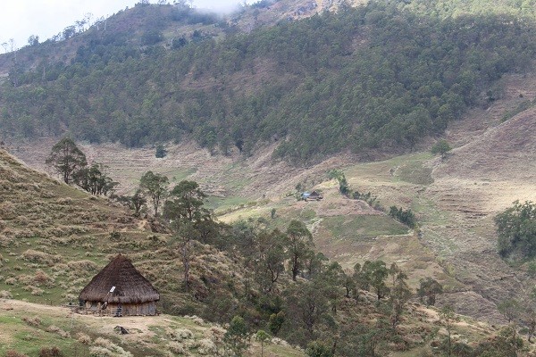 ラメラウ山登山道