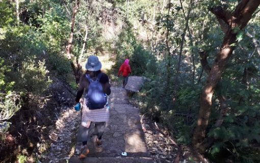 ラメラウ山登山道