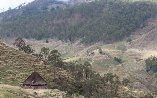 ラメラウ山登山道