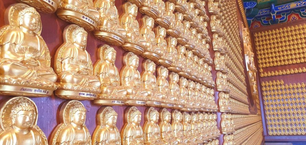 ＜5名様以上でお好きな日に催行＞【特価】癒しの風景が満載♪蓮の葉まみれ！ノンタブリーの魅力に迫る1日ツアー(バンコク発) 9