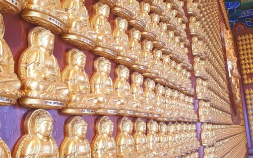 ＜5名様以上でお好きな日に催行＞【特価】癒しの風景が満載♪蓮の葉まみれ！ノンタブリーの魅力に迫る1日ツアー(バンコク発) 9