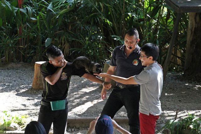 アニマルショー