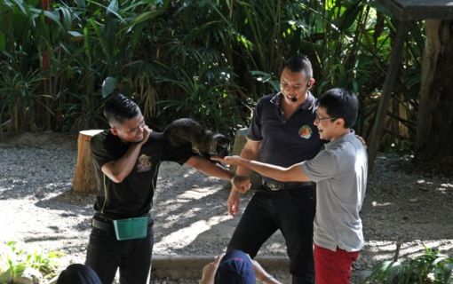 アニマルショー