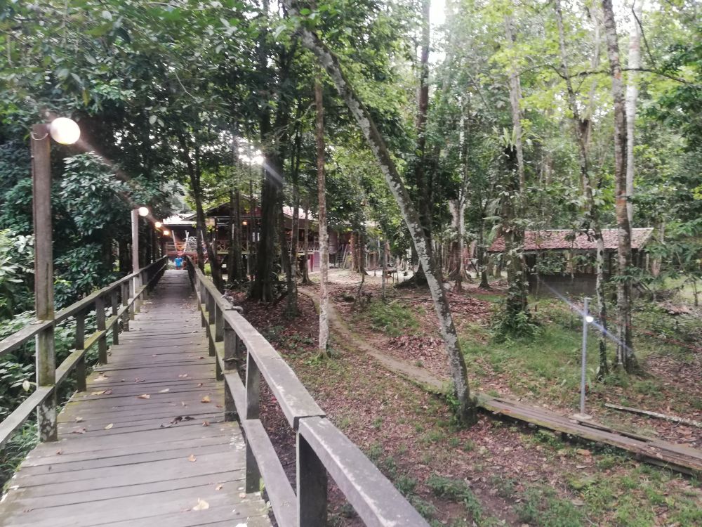 キナバルジャングルキャンプロッジ