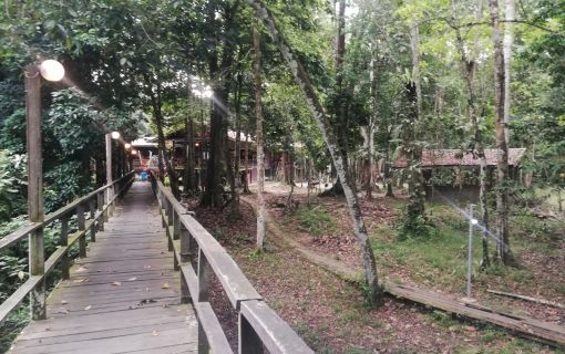 キナバルジャングルキャンプロッジ