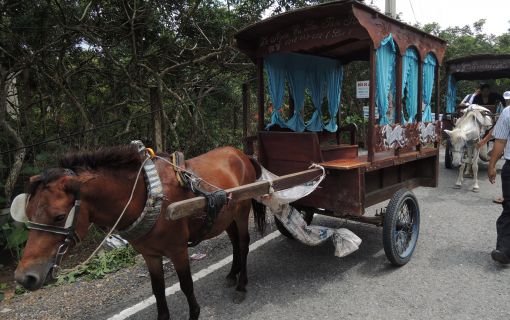 【ホーチミン発】クチトンネル＋メコン川蛍ツアー 9