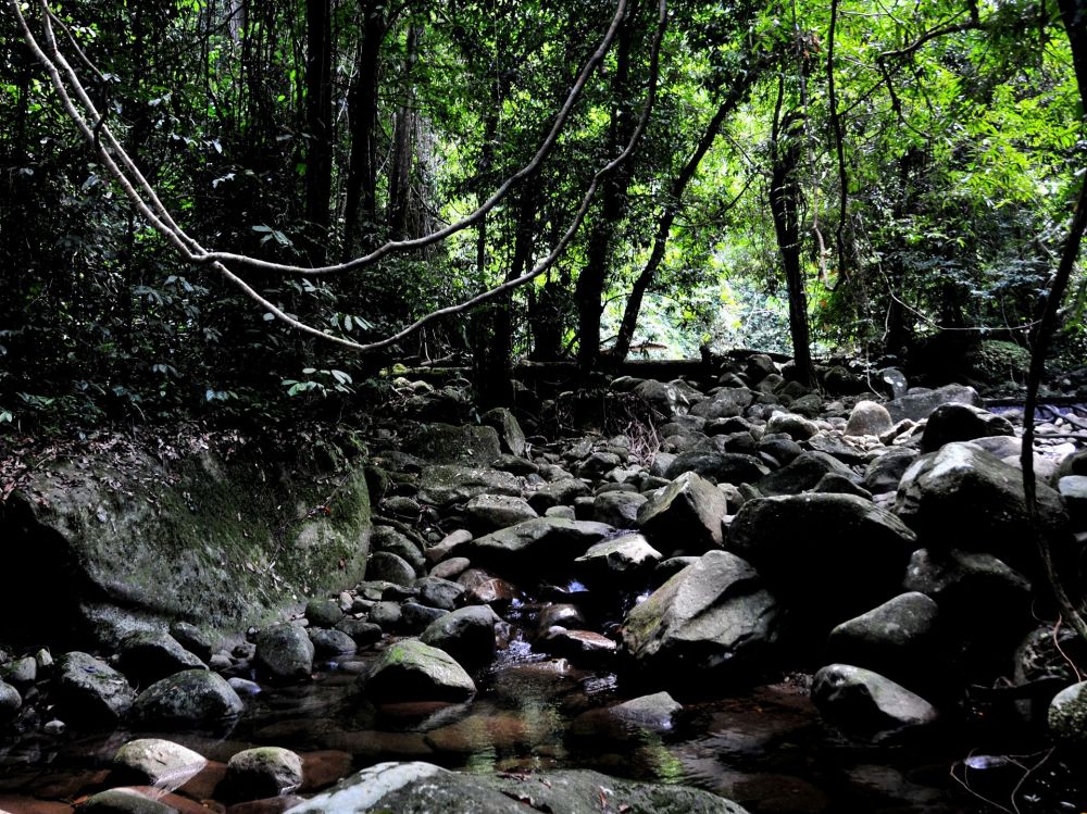 グヌン・ガディン国立公園 2