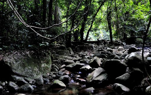 グヌン・ガディン国立公園 2