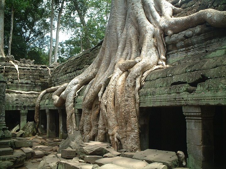 【バンコク発/カンボジア】直行便で行く 世界遺産アンコールワット1泊2日の旅 4