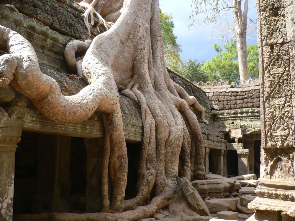 【バンコク発/カンボジア】直行便で行く 世界遺産アンコールワット1泊2日の旅 3
