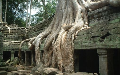 【バンコク発/カンボジア】直行便で行く 世界遺産アンコールワット1泊2日の旅 4