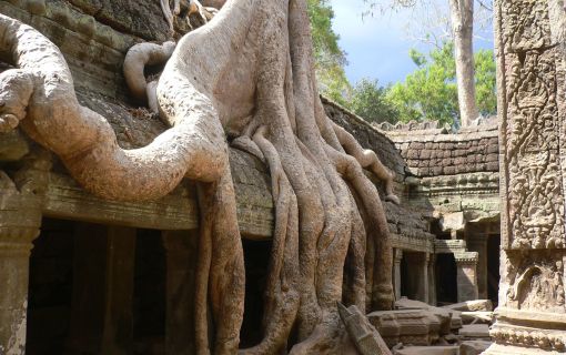 【バンコク発/カンボジア】直行便で行く 世界遺産アンコールワット1泊2日の旅 3
